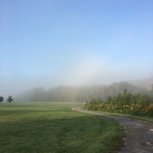 Meet your Posher, Marilyn